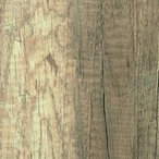 0669 - Root 0669 - Root