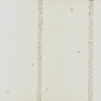 5902 - WHITE RAY 5902 - WHITE RAY