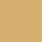 RAL 1001 RAL 1001