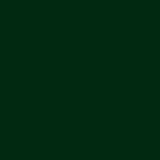 RAL 6005 RAL 6005