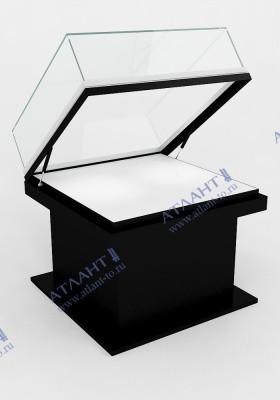 Витрина музейная на газлифтах ВМГ-13